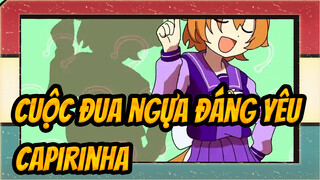 Cuộc đua ngựa đáng yêu | 【Bản tự vẽ AMV 】Capirinha