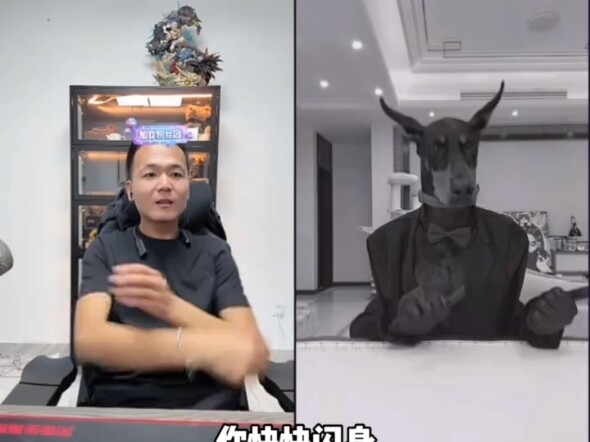 โอ้โห! #พ่านหงอ #พ่านหงอชอบเล่นกับหมา