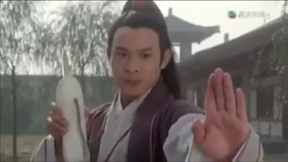 JET LI-KUNG FU CULT