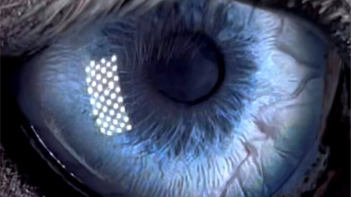 Nhái đại khái phiên bản Husky của Gojo Satoru