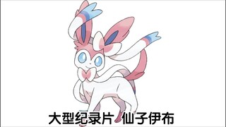 宝可梦大型纪录片—仙子伊布