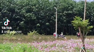 đất nền phú lộc Đăk Lăk