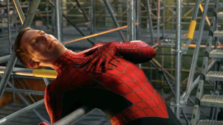 So that bully’s back has been through so much all along—no wonder he’s always in pain!