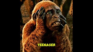 Is SUKO a Child or Teenager? | GODZILLA x KONG: THE NEW EMPIRE... #shorts