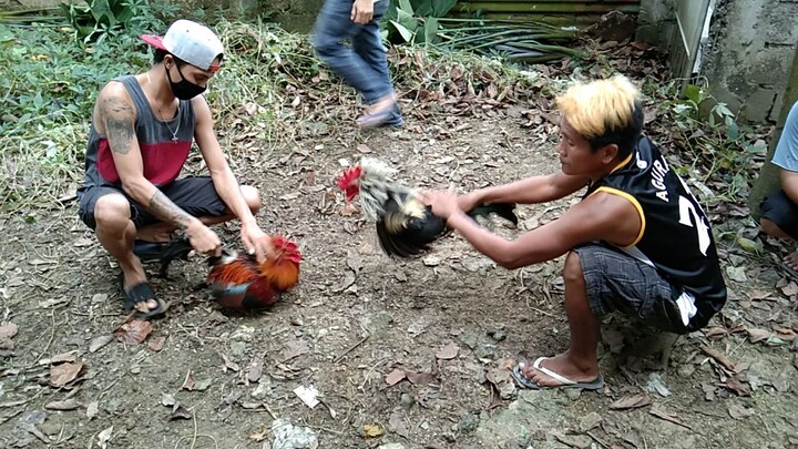 matira matibay Hindi binitawan Kung hndi patay