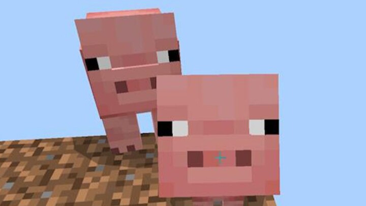 Are you a pig?