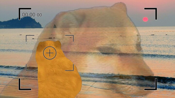 Cheems, bạn định cho nổ bom trong lễ tốt nghiệp à?