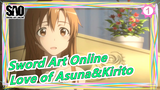 Sword Art Online | Love of Asuna&Kirito_1
