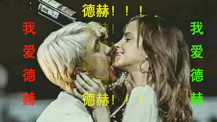 这  才  是   哈  利  波  特  的  官  配 【德赫】