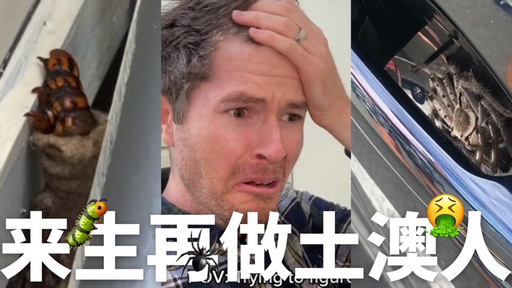 Mỗi giây, từng sợi lông tay của tôi đều đang đứng nghiêm!