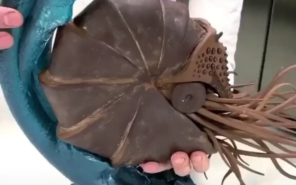 seni coklat