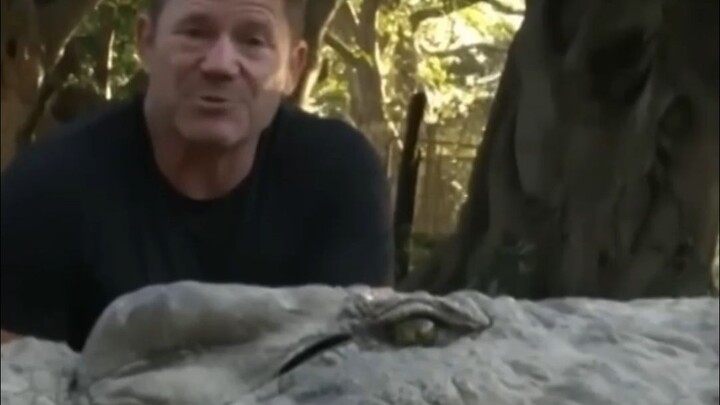 Friends who often get bitten by crocodiles all know about #CrocodileTreasure #CrocodileTreasureCroco
