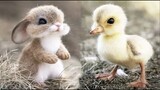AWW SO CUTE! Cutest baby animals Videos Compilation Cute moment of the Animals - Cutest Animals #15
