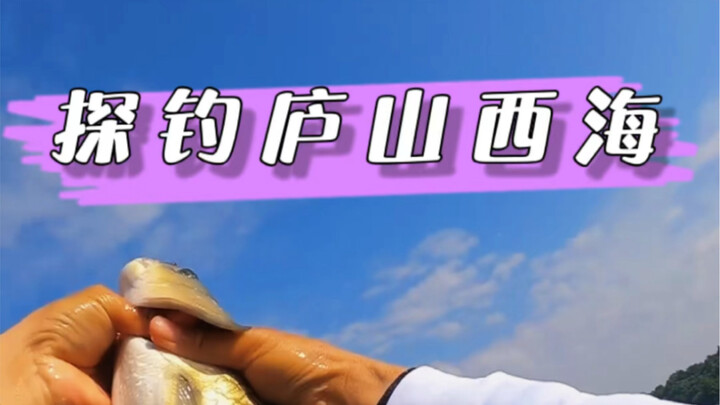 Exploring and Fishing at Lushan West Sea