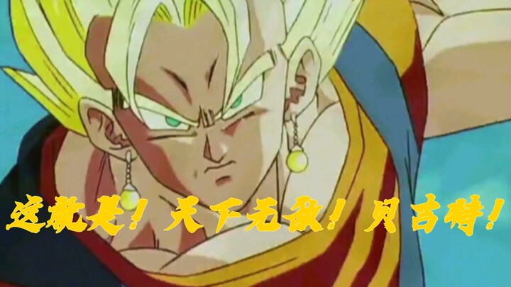The Invincible Vegetto!
