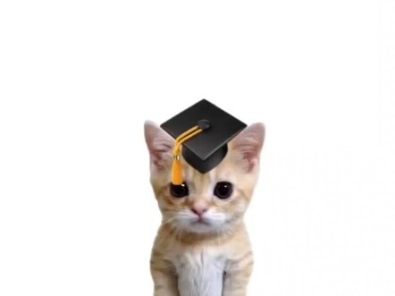 القطة الصغيرة تشرح لك ما هو الصديق الافتراضي