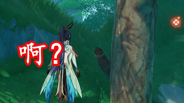 【غينشين إنتراكتيف】 بعض الاكتشافات الصغيرة الغريبة في وادي شينيو