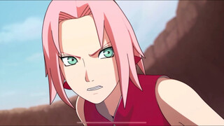 Butuh waktu bagi bunga sakura untuk mekar!