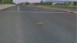 أنت شخص لطيف حقًا.