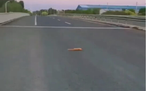 You're a really nice person.