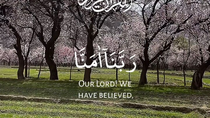 Astaghfirullah (أَسْتَغْفِرُ ٱللَّٰه) 🍃"...and Allah would not punish them while they seek forgiven