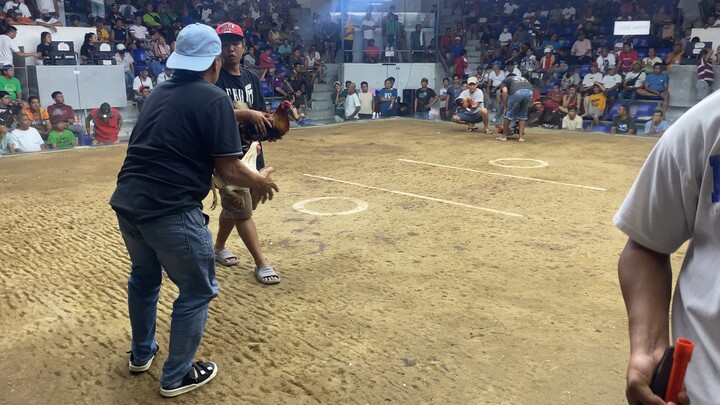 Second fight ( 2hits win )