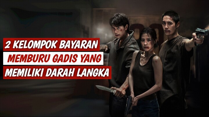 KETIKA 2 KELOMPOK BAYARAN MEMBURU GADIS YANG MEMILIKI DARAH PALING LANGKA #alurceritafilm