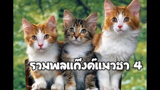 รวมพลแก๊งค์แมวฮา! 4 พากย์นรก