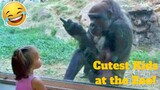 💥Cutest Kids At The Zoo Viral Weekly LOL😅😜 of 2019| Funny Animal Videos💥👌