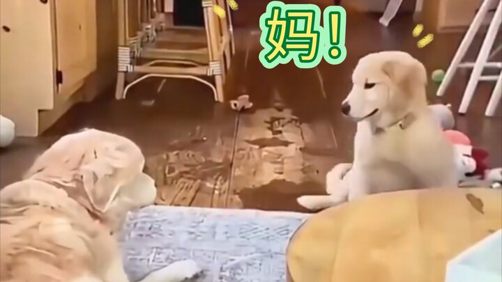 แม่!