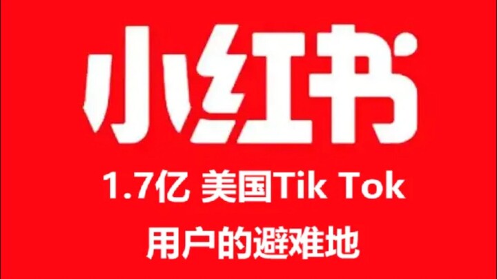 Một giấc ngủ dậy, trên Xiaohongshu toàn là người tị nạn Mỹ