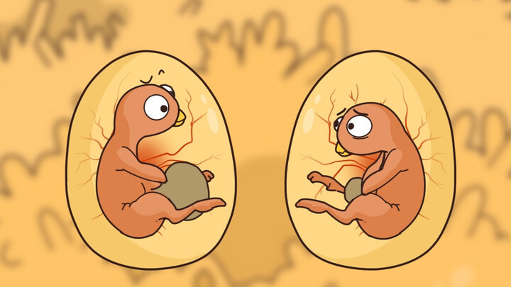 What exactly is the liquid inside “living pearl eggs”?