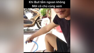 Boss cô chú thế nào ?.chó_cưng   chókhôn pitbullthuanhoa .