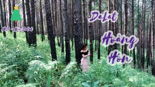 Đà Lạt Hoàng Hôn - Cảnh đẹp thiên nhiên Đà Lạt|Du lịch Đà Lạt.