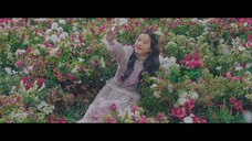 IZONE Violeta MV