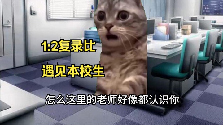 [Cat Meme] Postgraduate Entrance Exam Meets Soaring Score Lines, and Adjustment Admissions Clash wit