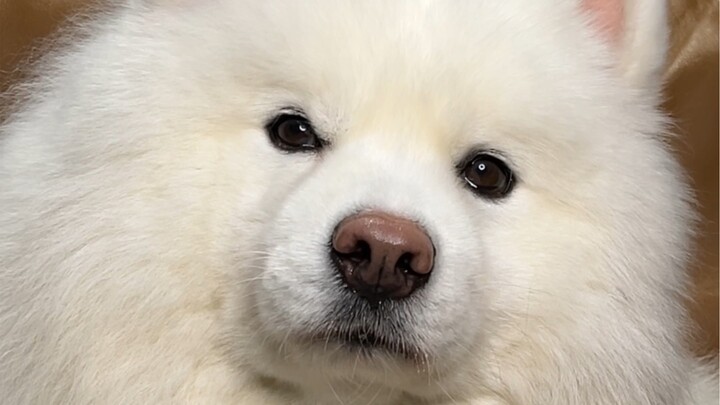 My heart has completely turned cold.