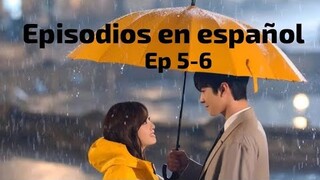 PROPUESTA LABORAL ESPAÑOL EPISODIO 5-6 / BUSINESS PROPOSAL