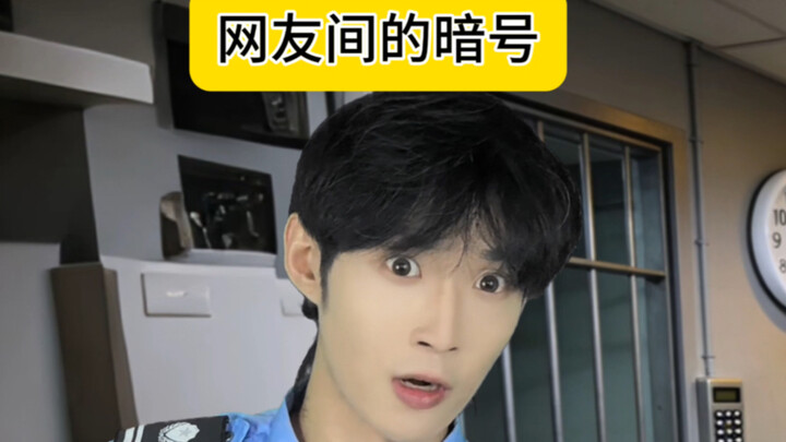Inside jokes among netizens