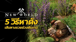 5 วิธีหาตัง เส้นทางรวย!! ช่วงต้นเกม | New World