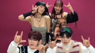 【kiss of life x ZB1】《Bad News＋Crush》challenge！