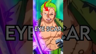 How Zoro got his Eye Scar | One Piece