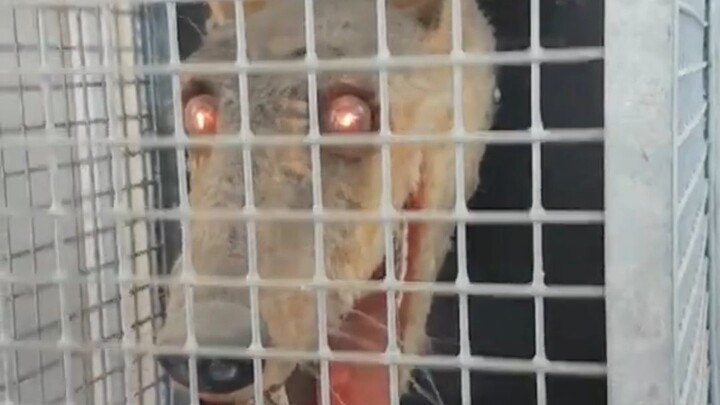 Would you be scared if it were you?