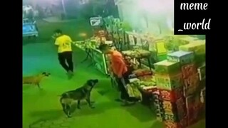 Một bước đi vặn dặm đau