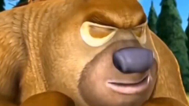 บูนี่แบร์ส