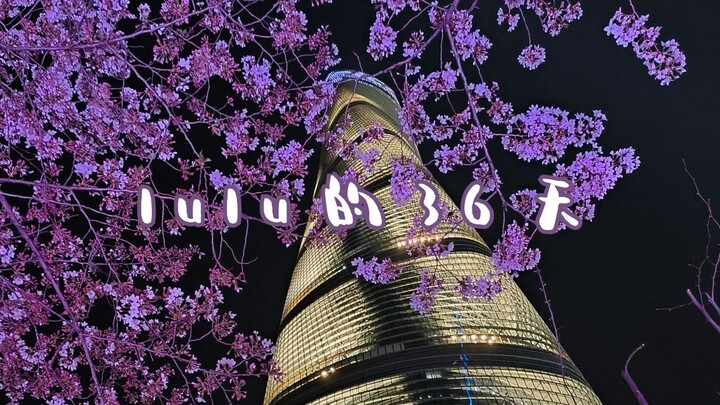 在中国的36天