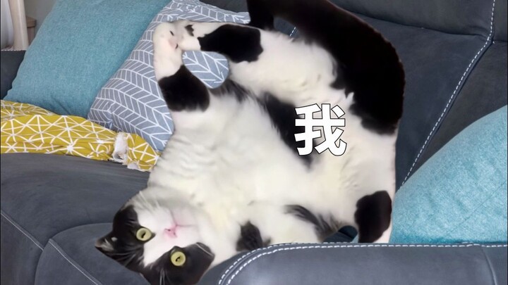 أول طفل أربيه بعد أن كبرت هو نفسي