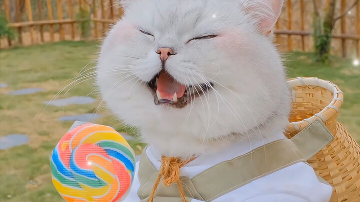 She sweet-talked me through my entire childhood.