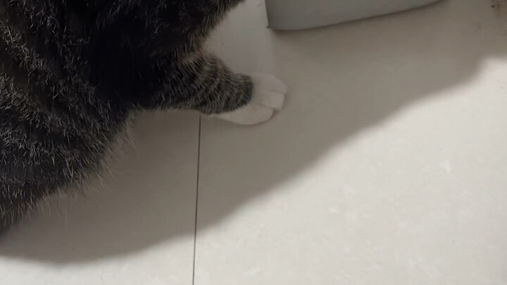 The wayward kid’s back—left so resolutely, wouldn’t listen no matter how you called… but when they’r