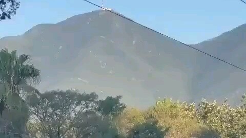 Taking my child ziplining, and they fell off.